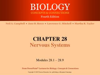 CHAPTER 28 Nervous Systems