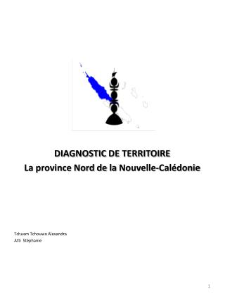 DIAGNOSTIC DE TERRITOIRE La province Nord de la Nouvelle-Calédonie Tchuam Tchouwo Alexandra