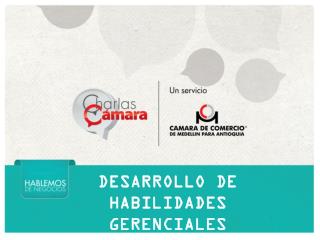 Desarrollo de Habilidades Gerenciales