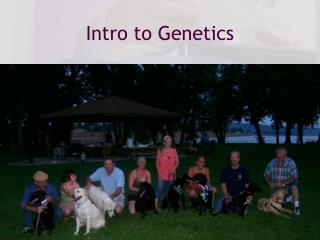 Intro to Genetics