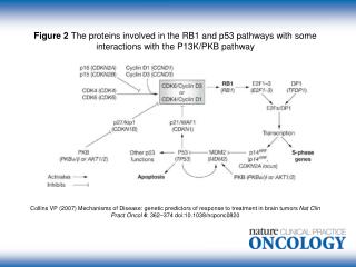 ncponc0820-pf2