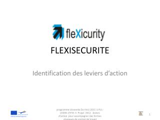 FLEXISECURITE