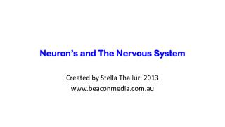 Neuron’s and The Nervous System