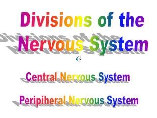 Divisions of the Nervous System