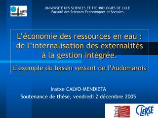 Iratxe CALVO-MENDIETA Soutenance de thèse, vendredi 2 décembre 2005