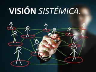VISIÓN SISTÉMICA.