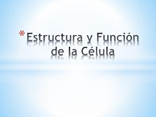 Estructura y Función de la Célula
