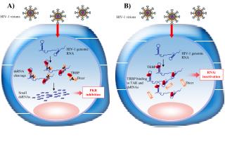 RNAi inactivation