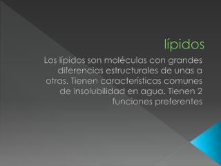 lípidos