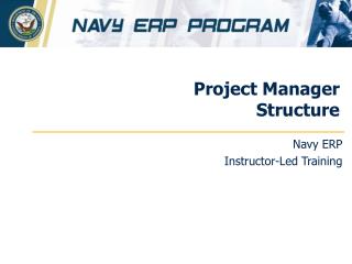 Project Manager Structure