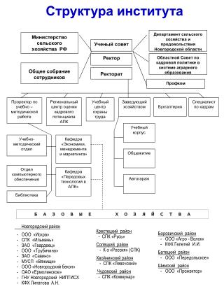 Структура института