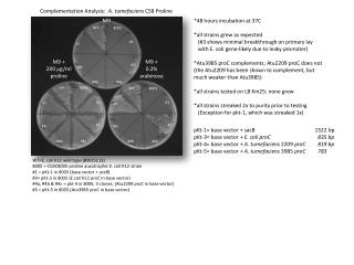 Complementation Analysis: A. tumefaciens C58 Proline