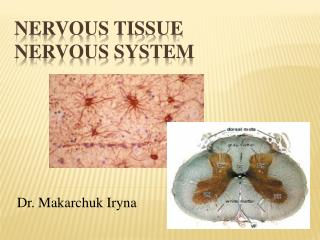 Nervous tissue Nervous system