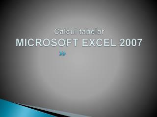 Calcul tabelar MICROSOFT EXCEL 2007