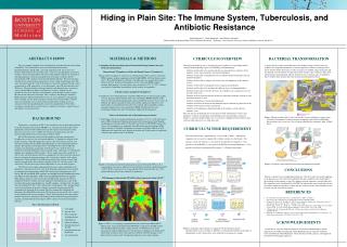 Hiding in Plain Site: The Immune System, Tuberculosis, and Antibiotic Resistance
