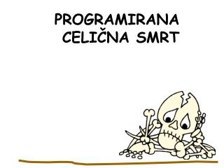 PROGRAMIRANA CELIČNA SMRT