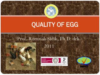 QUALITY OF EGG