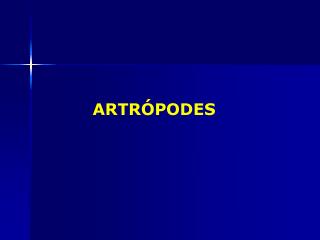 ARTRÓPODES