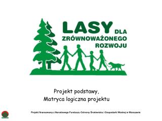 Projekt podstawy, Matryca logiczna projektu