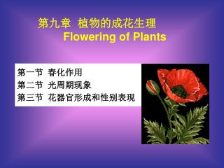 第一节 春化作用 第二节 光周期现象 第三节 花器官形成和性别表现