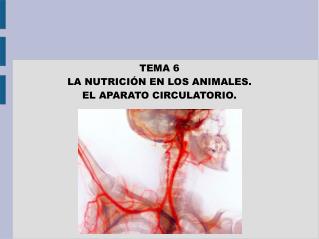 TEMA 6 LA NUTRICIÓN EN LOS ANIMALES. EL APARATO CIRCULATORIO.