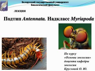 ЛЕКЦИЯ