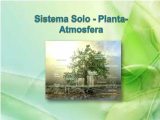 Sistema Solo - Planta- Atmosfera