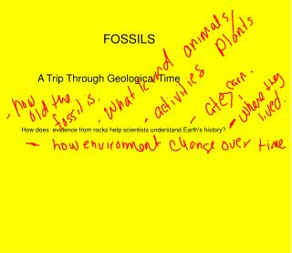 FOSSILS