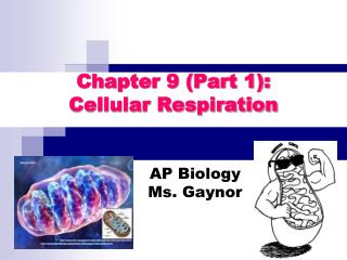 AP Biology Ms. Gaynor