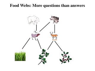 Food Webs: More questions than answers