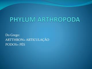 PHYLUM ARTHROPODA