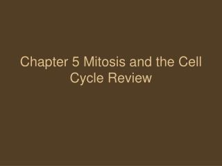 Chapter 5 Mitosis and the Cell Cycle Review