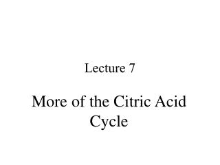 Lecture 7