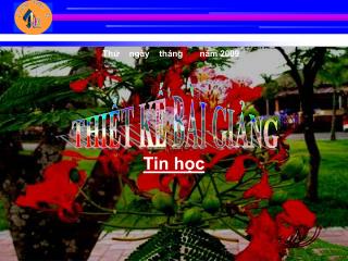 Tieu hoc B