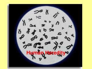 Human Heredity