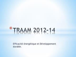 TRAAM 2012- 14