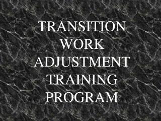 TRANSITION WORK ADJUSTMENT TRAINING PROGRAM