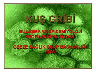 KUŞ GRİBİ