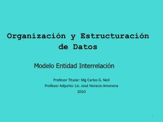 Organización y Estructuración de Datos