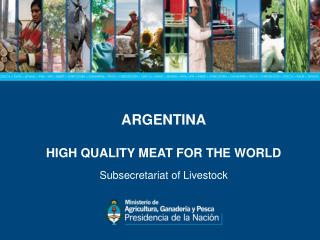 ARGENTINA HIGH QUALITY MEAT FOR THE WORLD Subsecretariat of Livestock