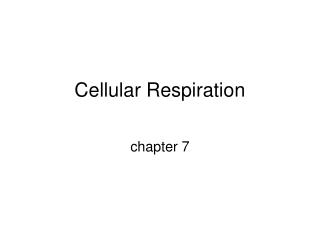 Cellular Respiration