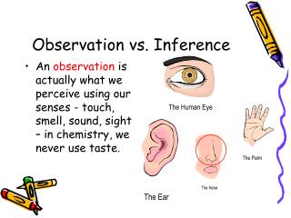 Observation vs. Inference