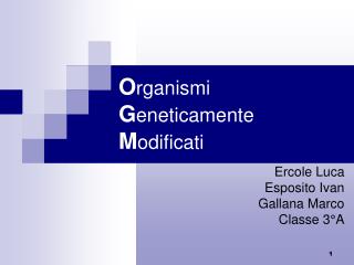 O rganismi G eneticamente M odificati