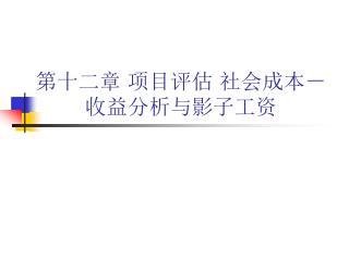 第十二章 项目评估 社会成本－收益分析与影子工资