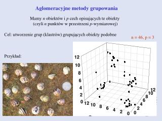 Aglomeracyjne metody grupowania