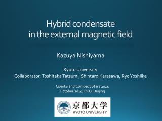 Hybrid condensate in the external magnetic field