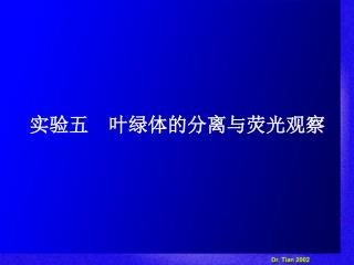 实验五　叶绿体的分离与荧光观察