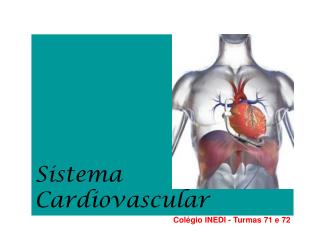 Sistema Cardiovascular