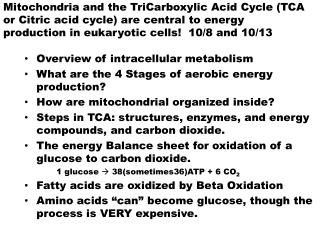 Overview of intracellular metabolism What are the 4 Stages of aerobic energy production?