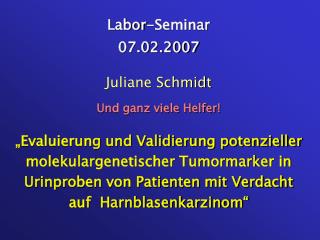 Labor-Seminar 07.02.2007 Juliane Schmidt Und ganz viele Helfer!